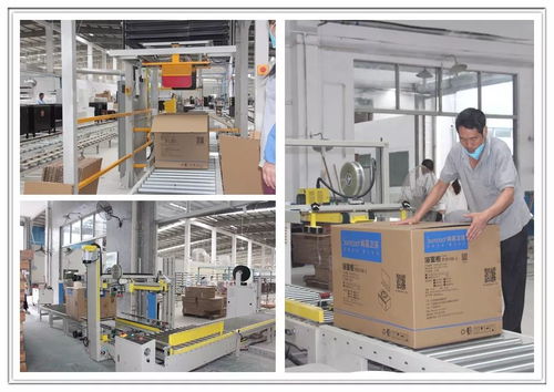 工廠巨變 從百人到十人，浴室柜行業(yè)的生產革命與市場陣痛